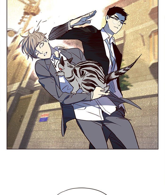 Hoá Thân Thành Mèo Chapter 11 - Trang 2