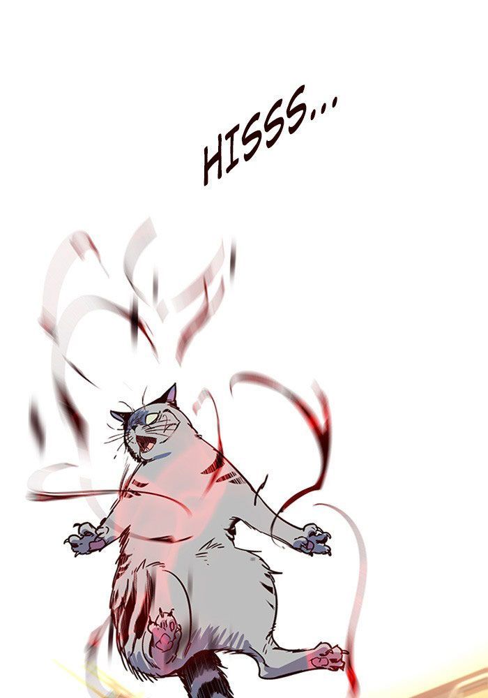 Hoá Thân Thành Mèo Chapter 11 - Trang 2