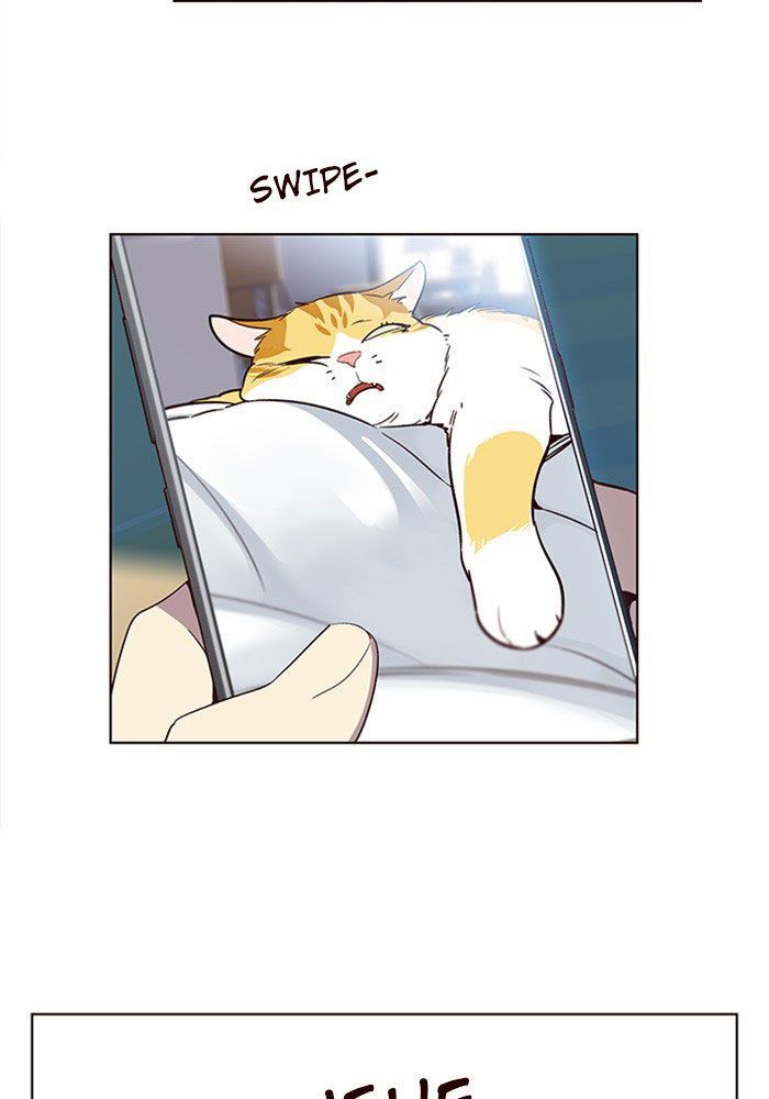 Hoá Thân Thành Mèo Chapter 11 - Trang 2