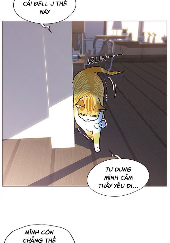 Hoá Thân Thành Mèo Chapter 11 - Trang 2