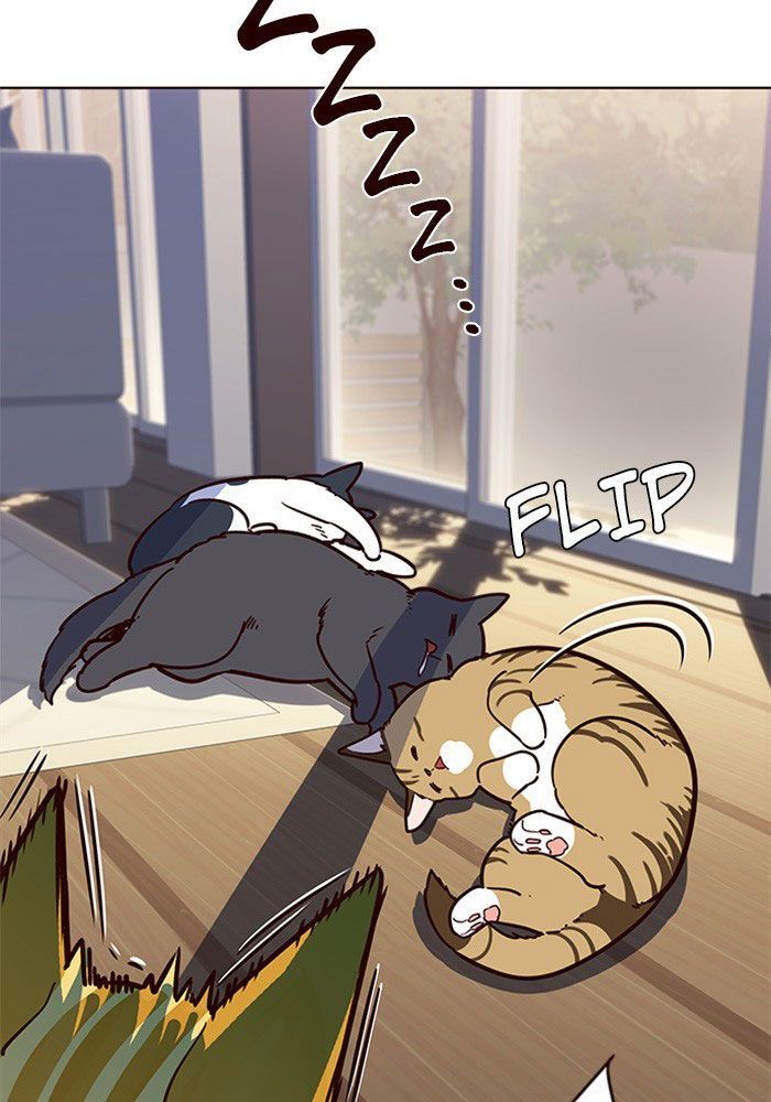 Hoá Thân Thành Mèo Chapter 11 - Trang 2