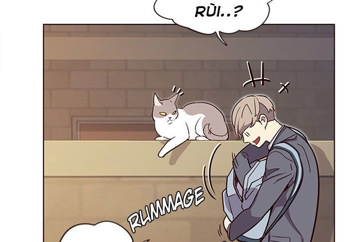 Hoá Thân Thành Mèo Chapter 11 - Trang 2