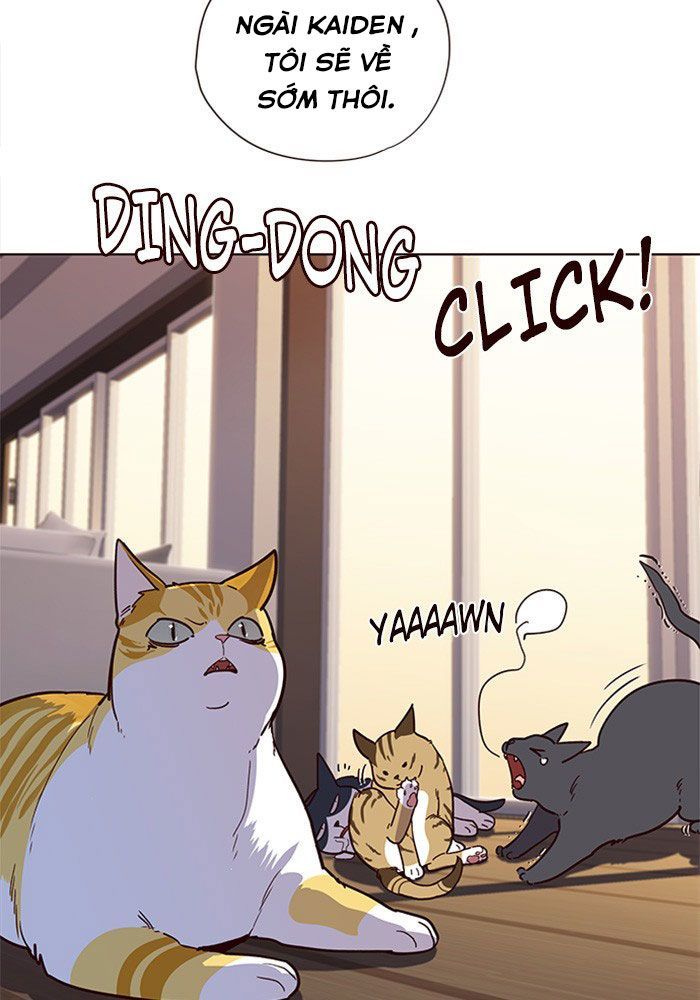Hoá Thân Thành Mèo Chapter 11 - Trang 2