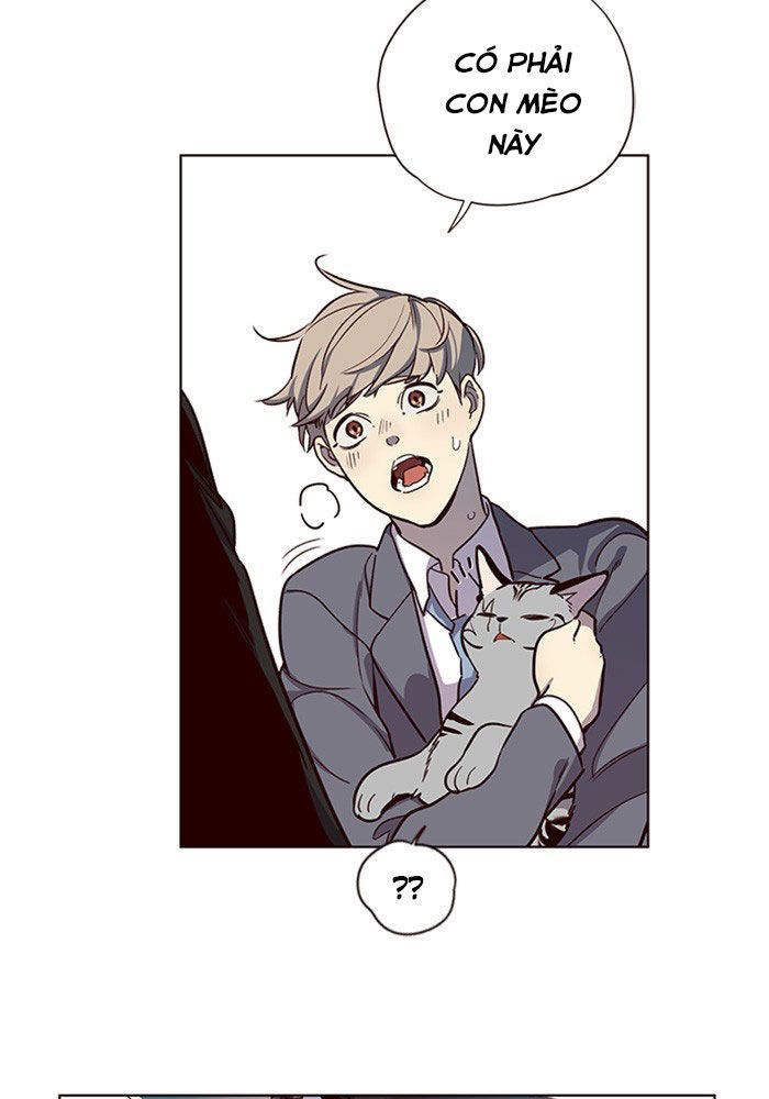 Hoá Thân Thành Mèo Chapter 11 - Trang 2