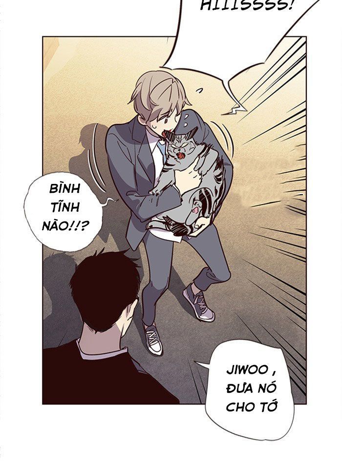 Hoá Thân Thành Mèo Chapter 11 - Trang 2