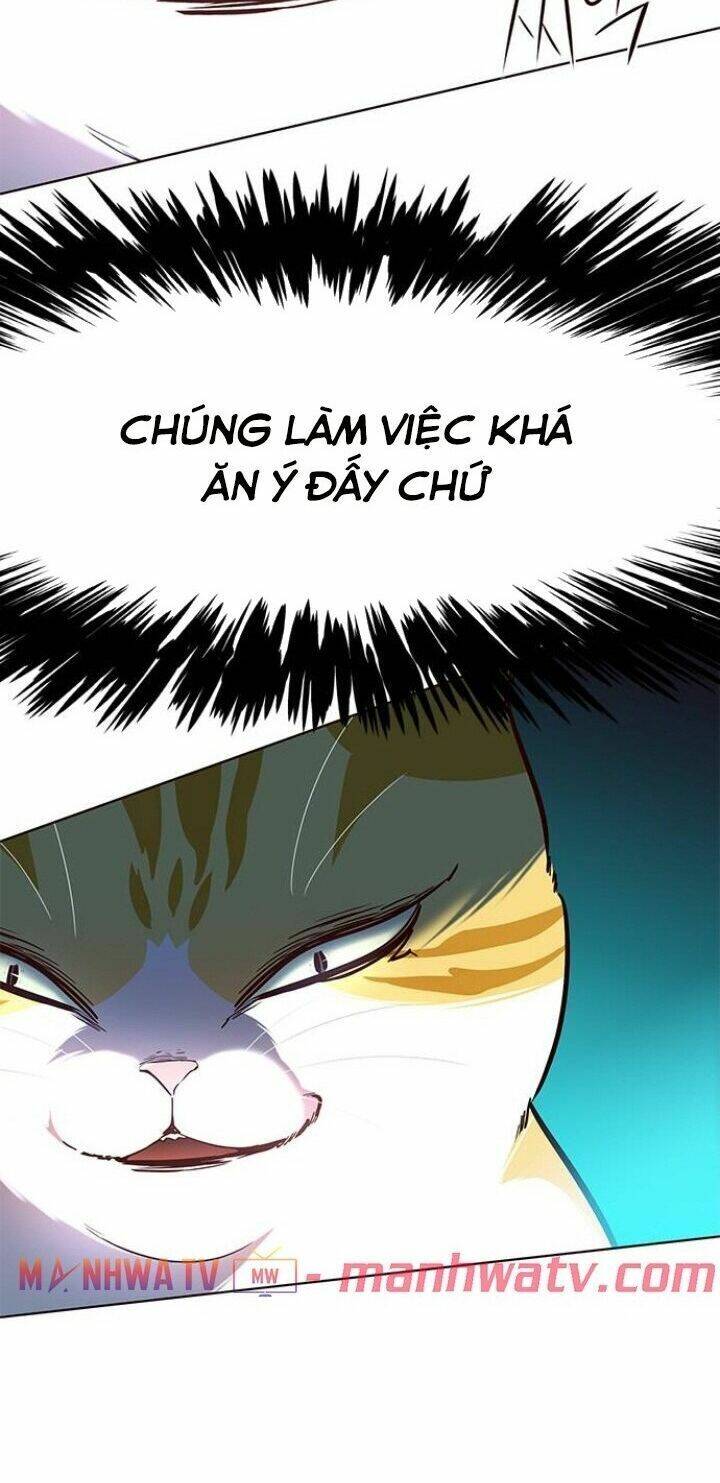 Hoá Thân Thành Mèo Chapter 110 - Trang 2