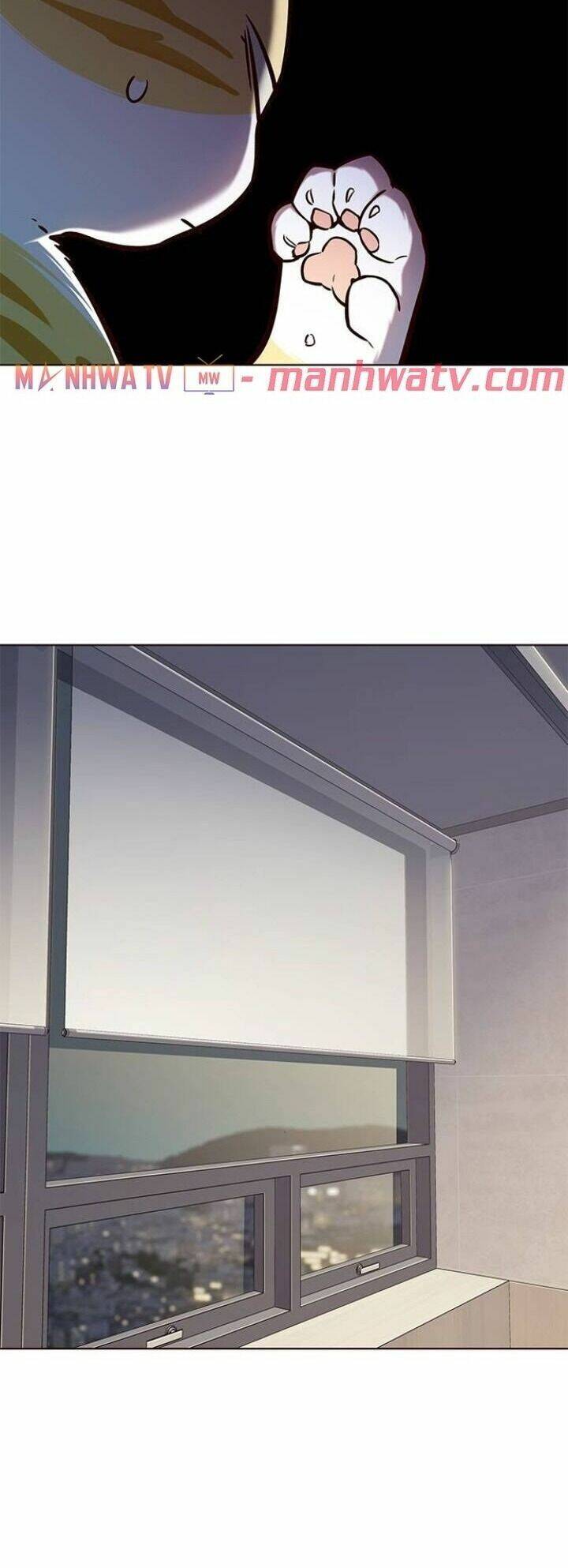 Hoá Thân Thành Mèo Chapter 113 - Trang 2