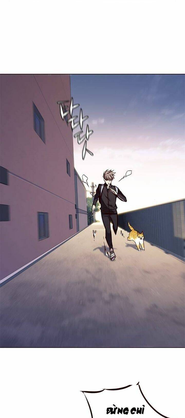 Hoá Thân Thành Mèo Chapter 117 - Trang 2