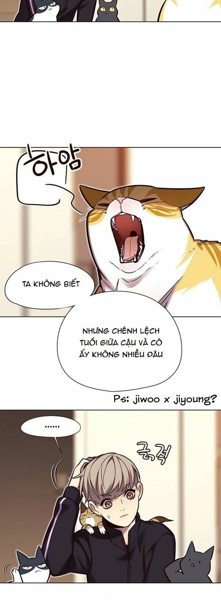 Hoá Thân Thành Mèo Chapter 118 - Trang 2