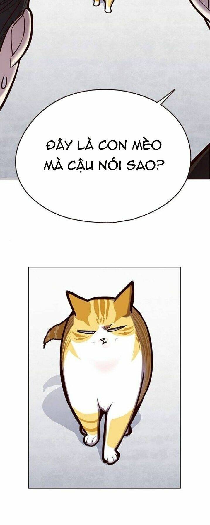 Hoá Thân Thành Mèo Chapter 119 - Trang 2