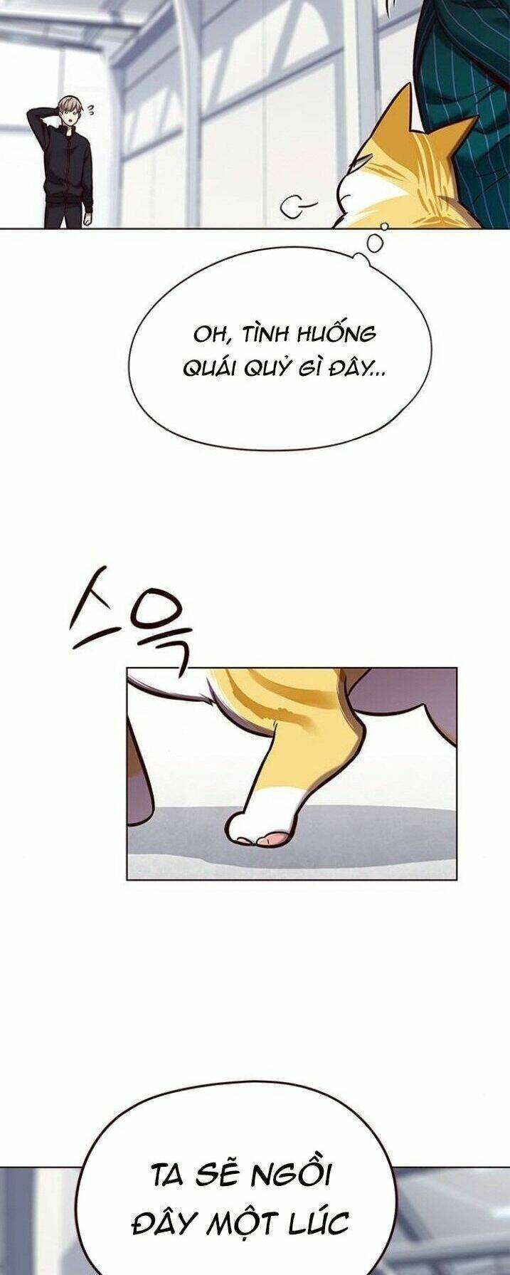 Hoá Thân Thành Mèo Chapter 119 - Trang 2