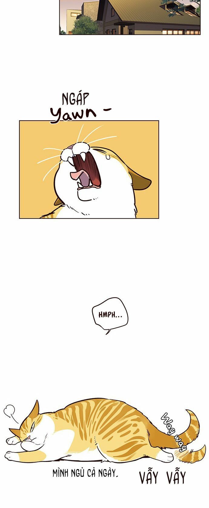 Hoá Thân Thành Mèo Chapter 12 - Trang 2