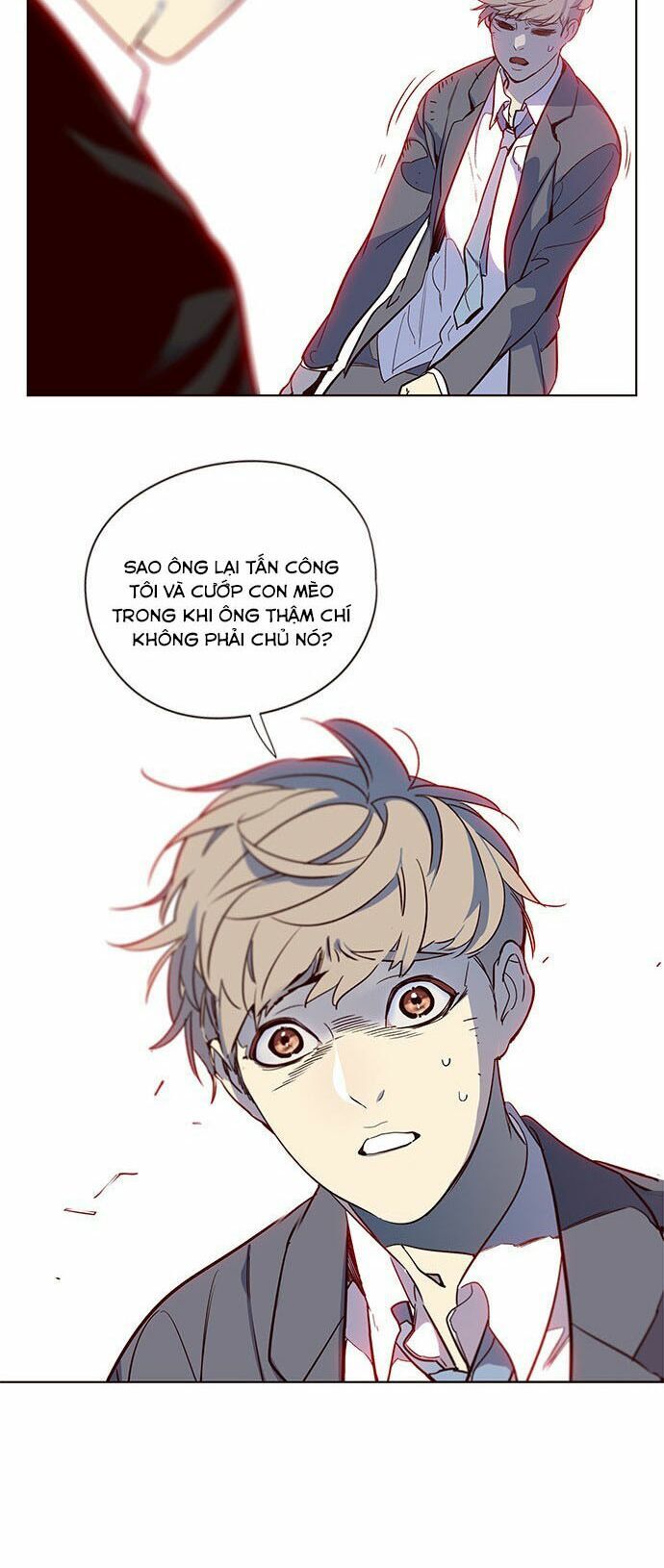 Hoá Thân Thành Mèo Chapter 12 - Trang 2