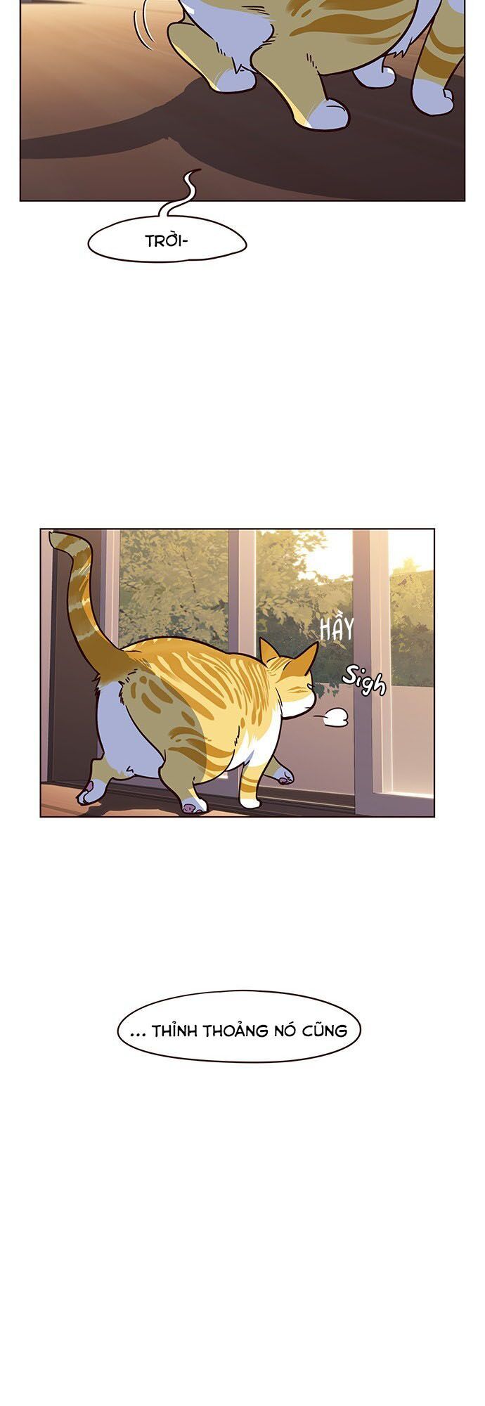 Hoá Thân Thành Mèo Chapter 12 - Trang 2