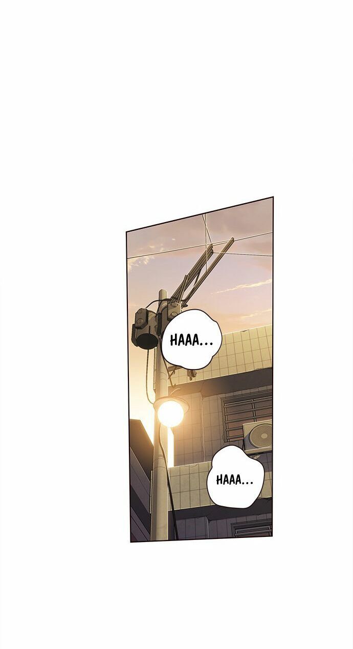 Hoá Thân Thành Mèo Chapter 12 - Trang 2