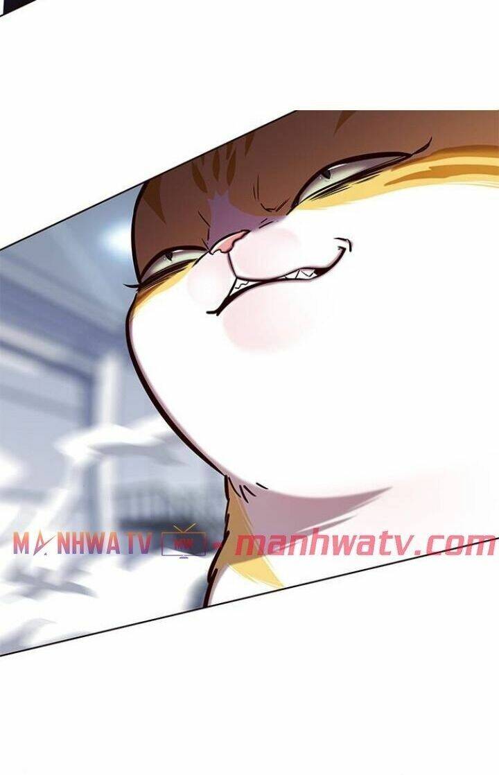 Hoá Thân Thành Mèo Chapter 120 - Trang 2