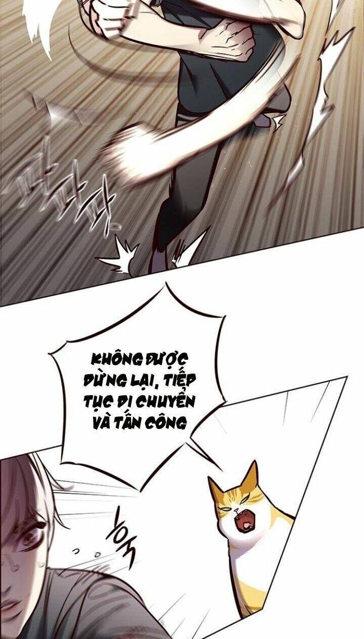 Hoá Thân Thành Mèo Chapter 124 - Trang 2