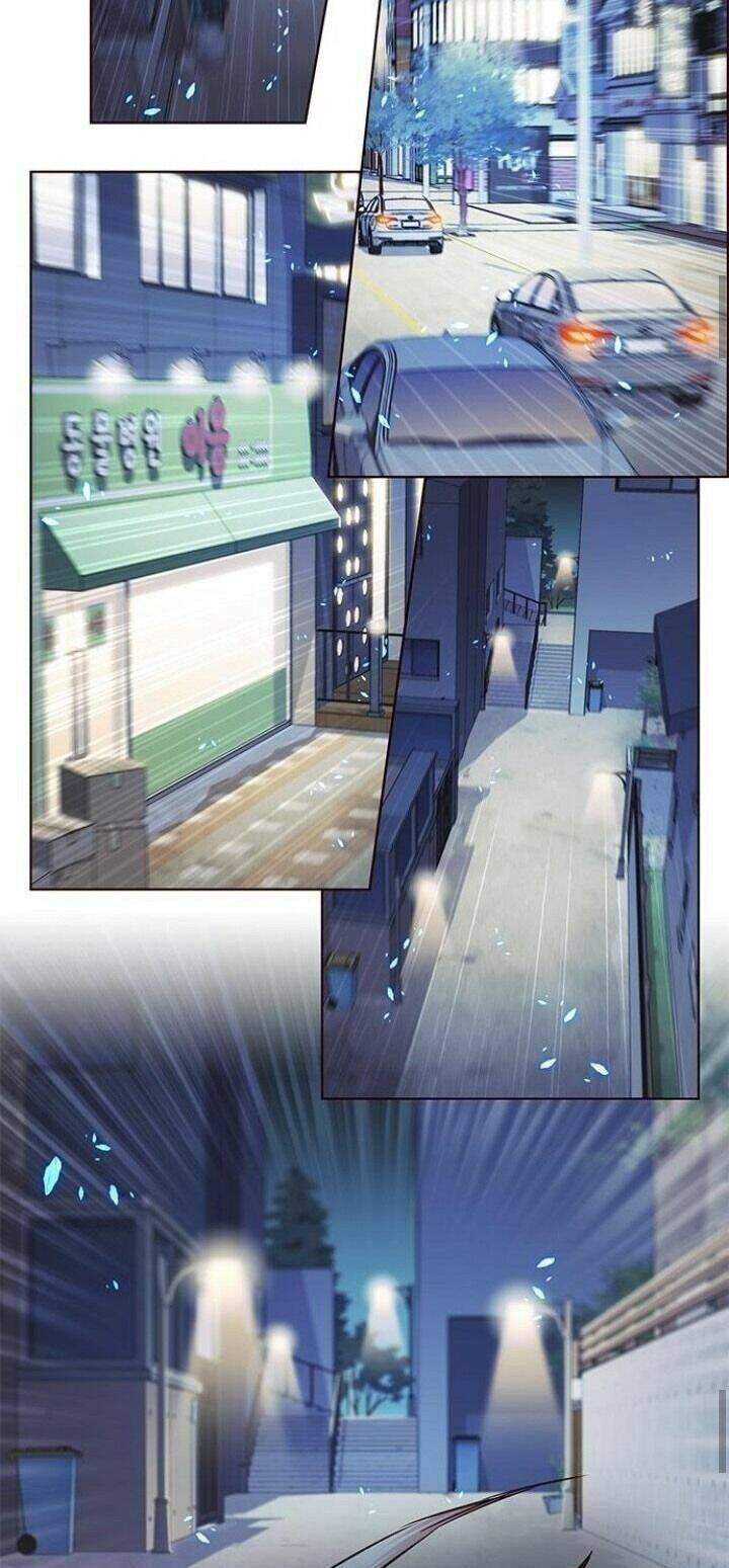 Hoá Thân Thành Mèo Chapter 126 - Trang 2