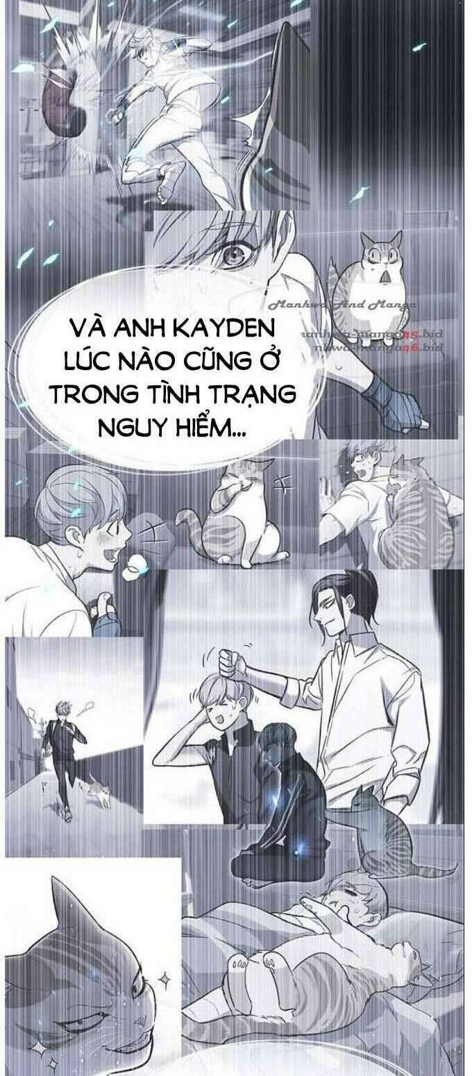 Hoá Thân Thành Mèo Chapter 137 - Trang 2