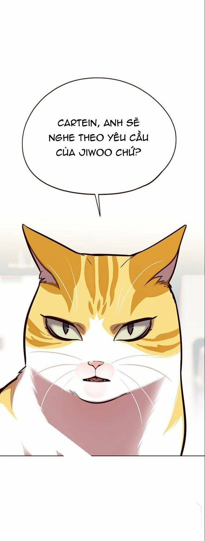 Hoá Thân Thành Mèo Chapter 139 - Trang 2