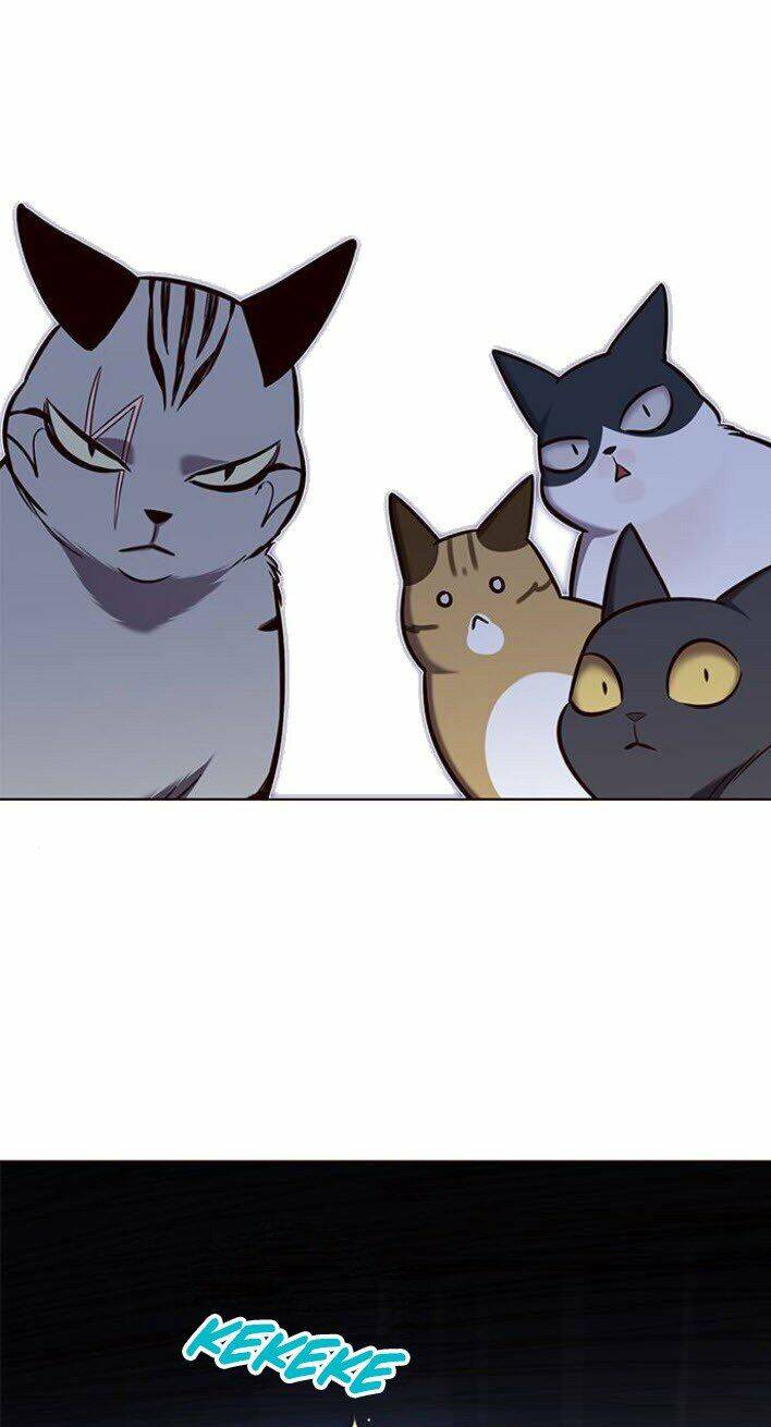 Hoá Thân Thành Mèo Chapter 139 - Trang 2