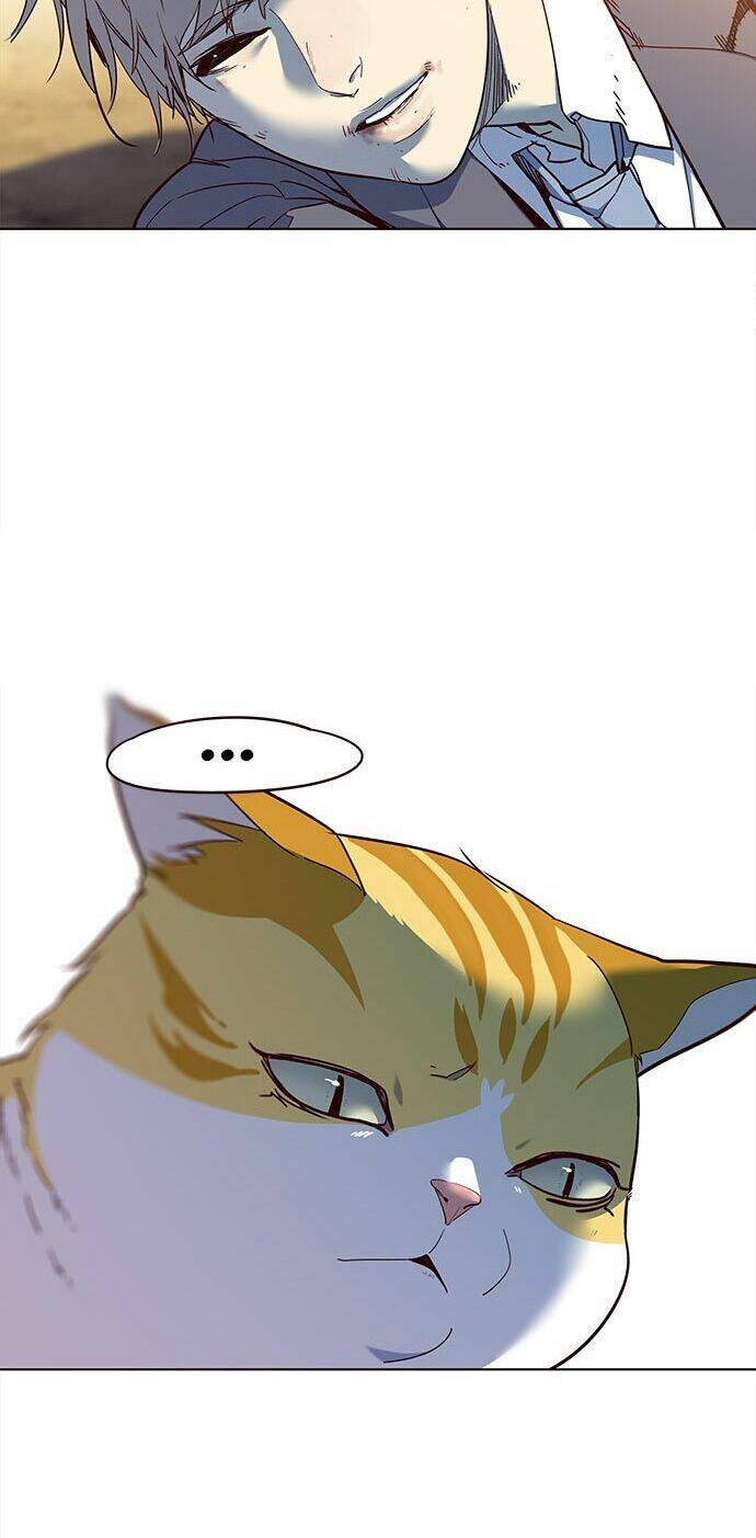 Hoá Thân Thành Mèo Chapter 14 - Trang 2