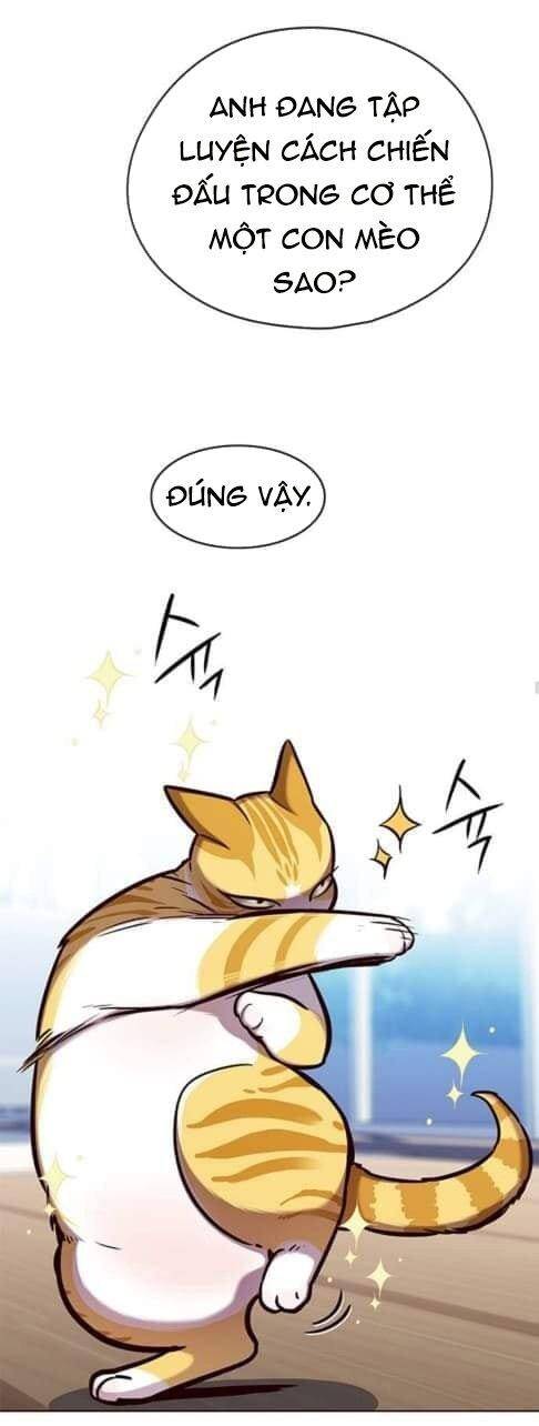 Hoá Thân Thành Mèo Chapter 144 - Trang 2