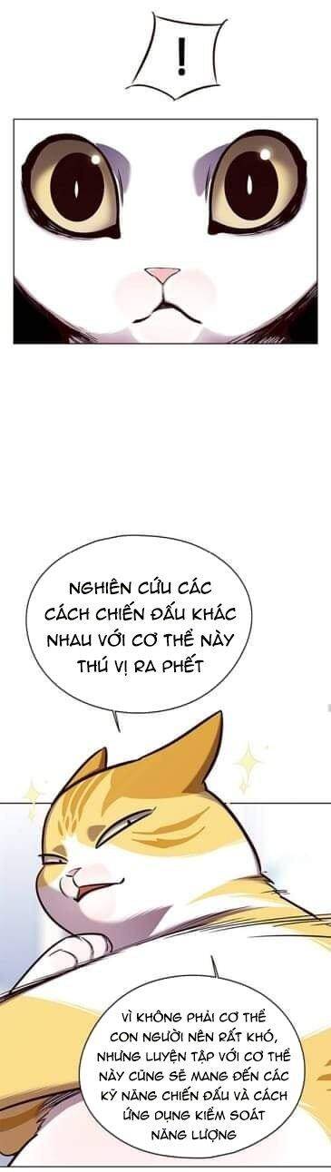 Hoá Thân Thành Mèo Chapter 144 - Trang 2