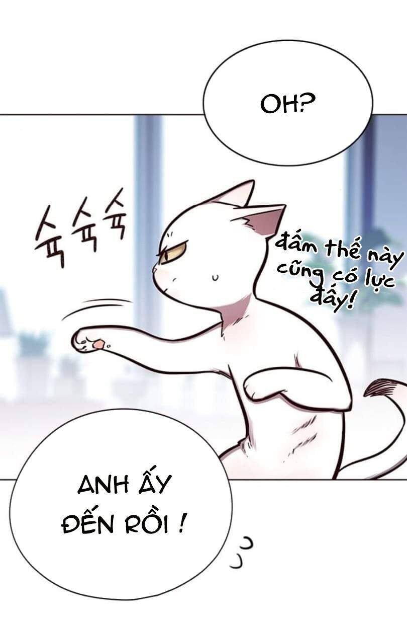Hoá Thân Thành Mèo Chapter 144 - Trang 2