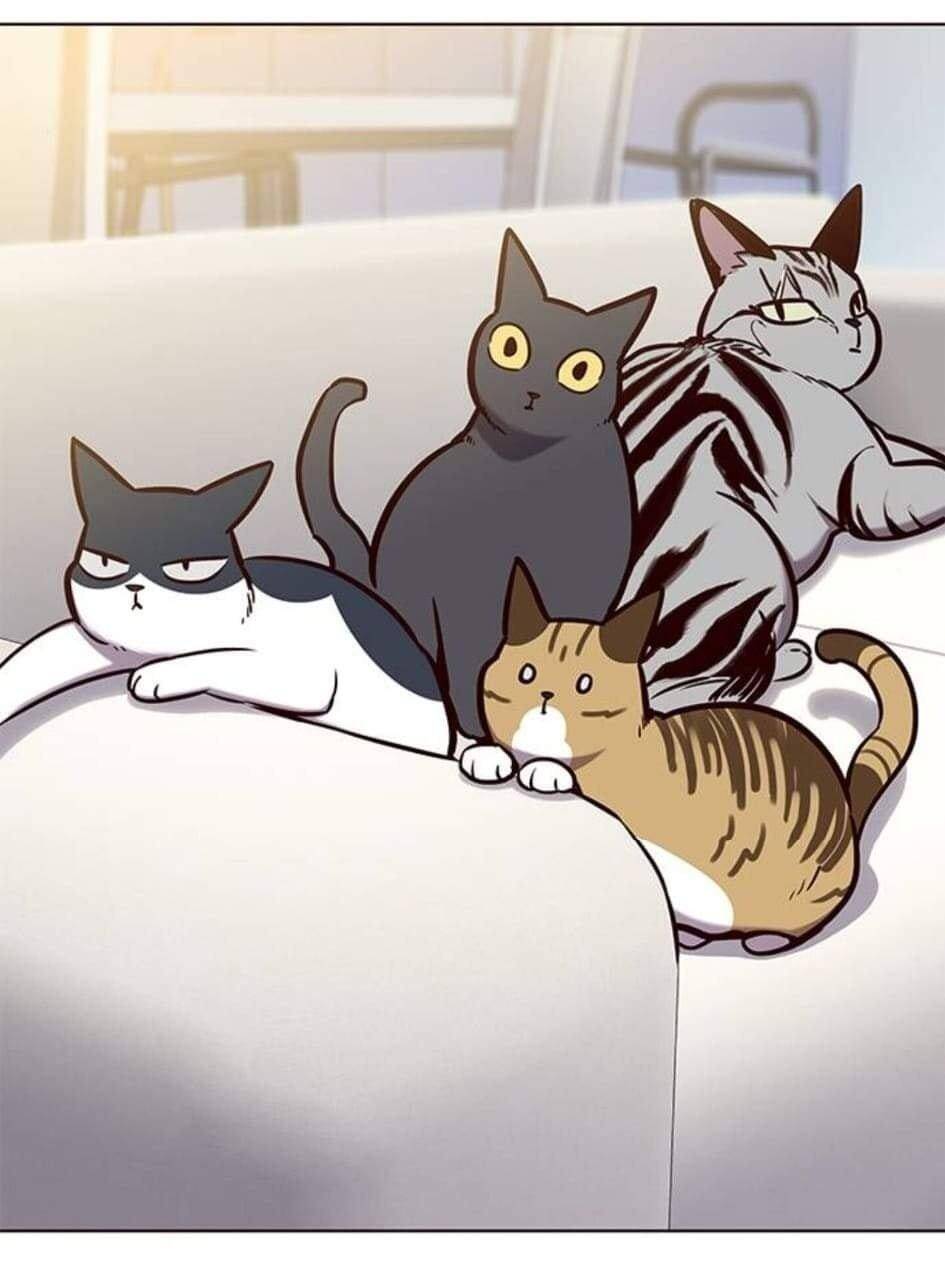 Hoá Thân Thành Mèo Chapter 144 - Trang 2