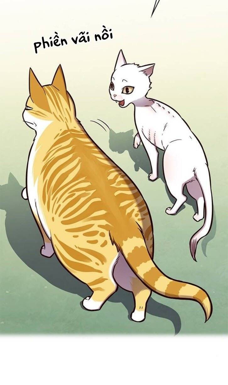 Hoá Thân Thành Mèo Chapter 145 - Trang 2