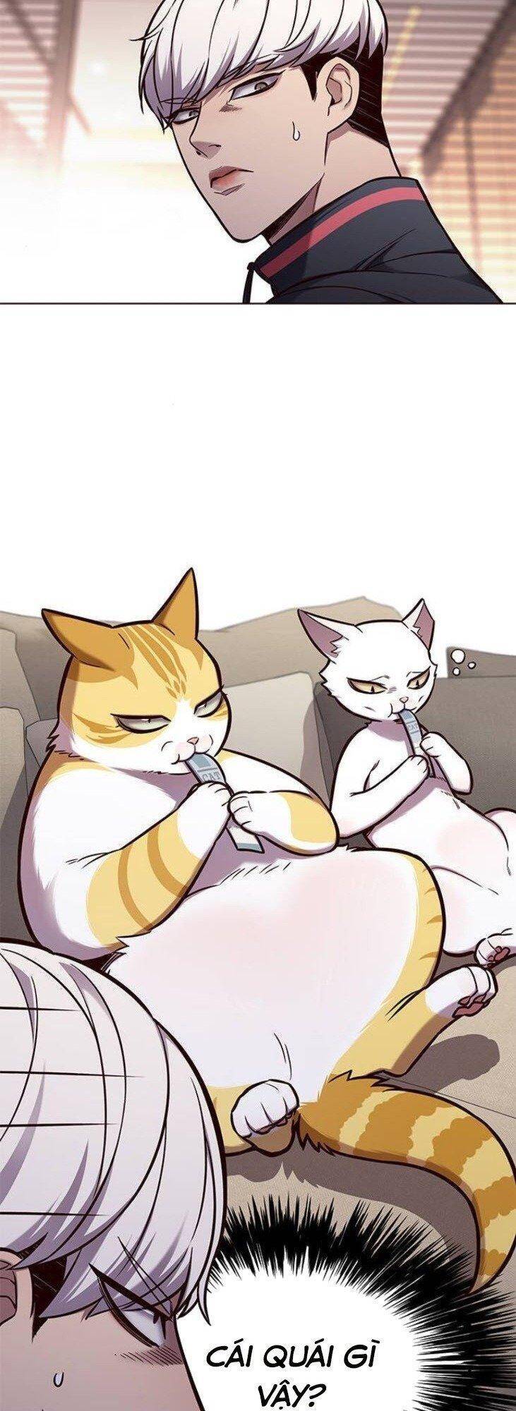 Hoá Thân Thành Mèo Chapter 146 - Trang 2