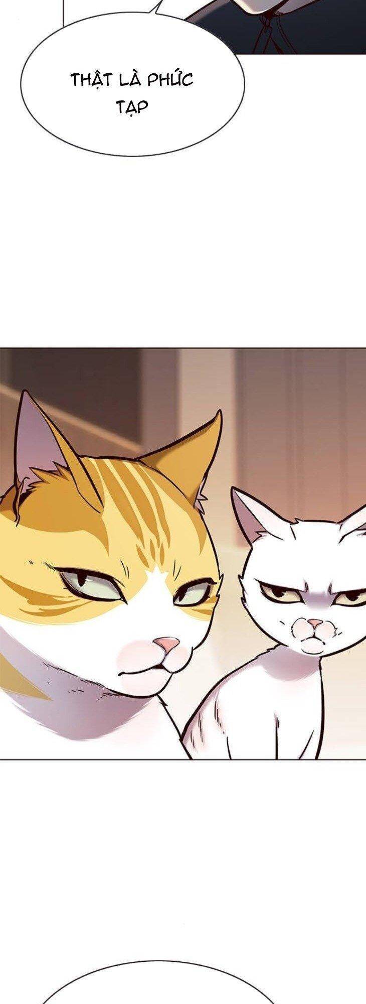 Hoá Thân Thành Mèo Chapter 146 - Trang 2
