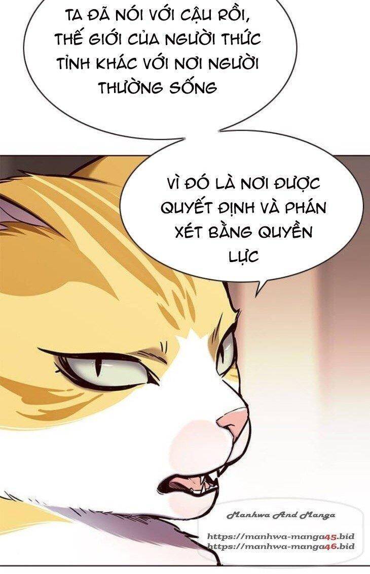 Hoá Thân Thành Mèo Chapter 146 - Trang 2