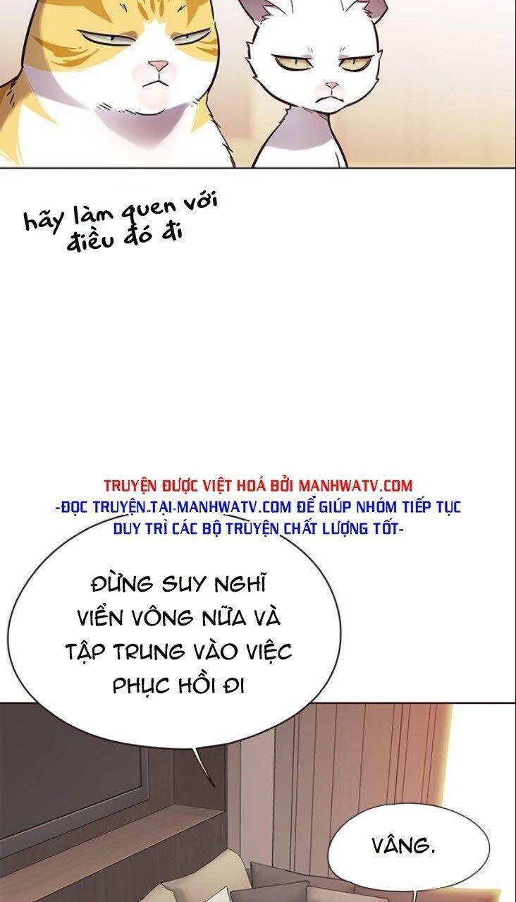 Hoá Thân Thành Mèo Chapter 146 - Trang 2
