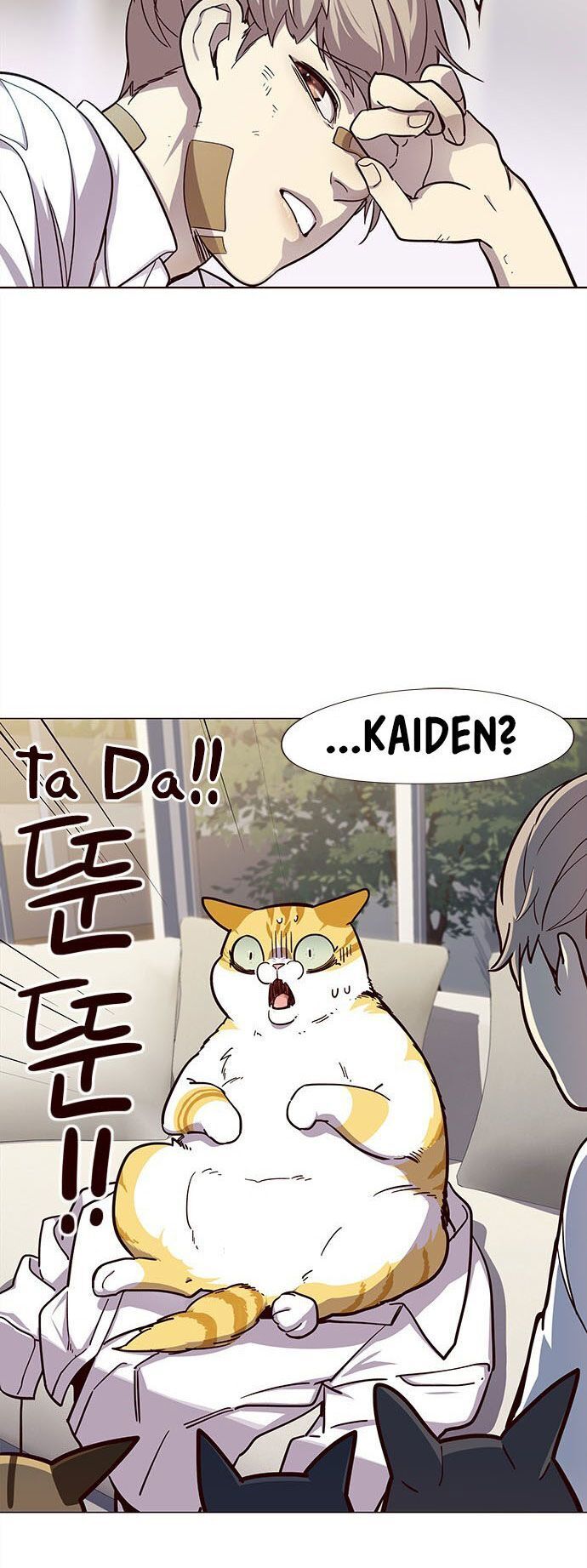 Hoá Thân Thành Mèo Chapter 15 - Trang 2