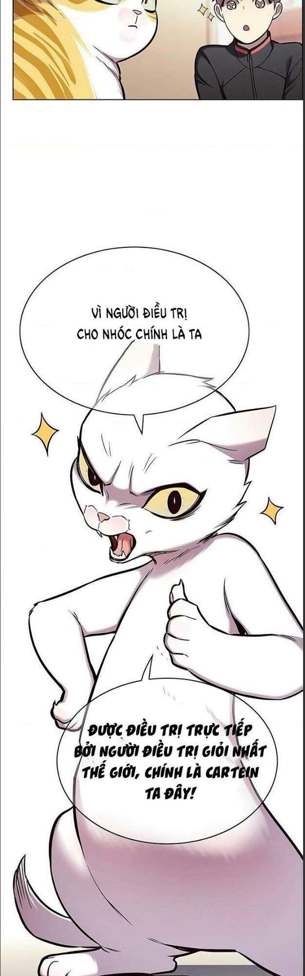 Hoá Thân Thành Mèo Chapter 156 - Trang 2