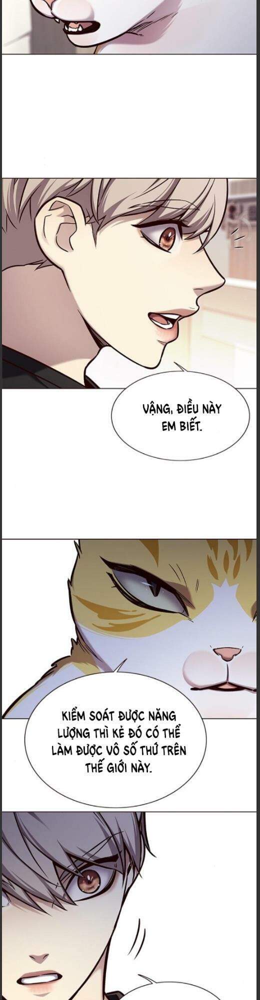 Hoá Thân Thành Mèo Chapter 160 - Trang 2