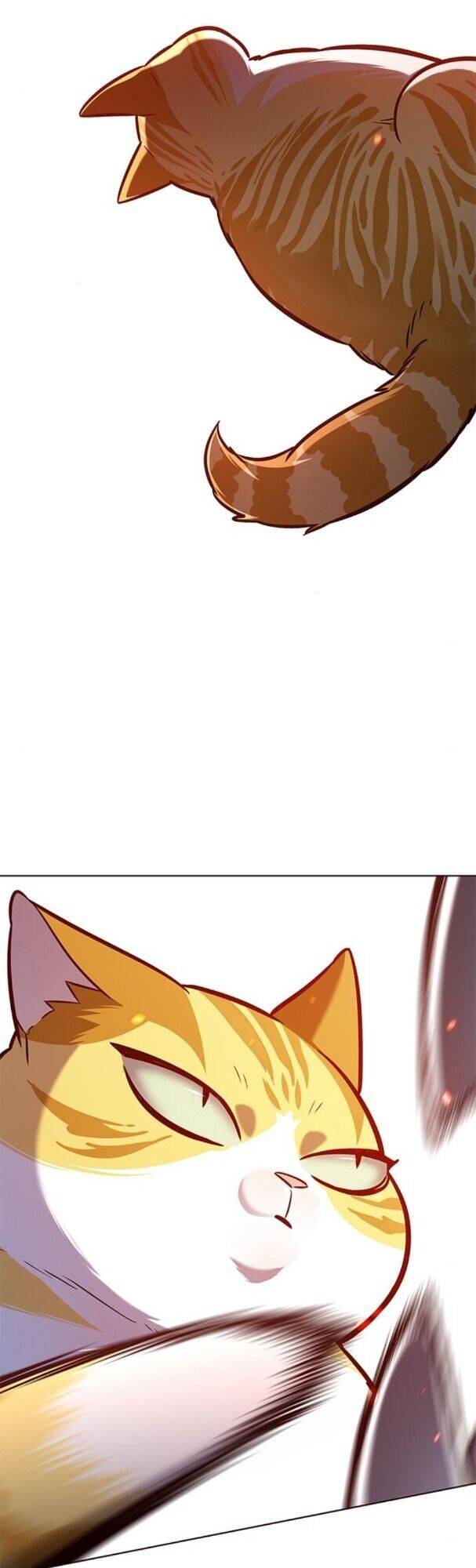 Hoá Thân Thành Mèo Chapter 163 - Trang 2