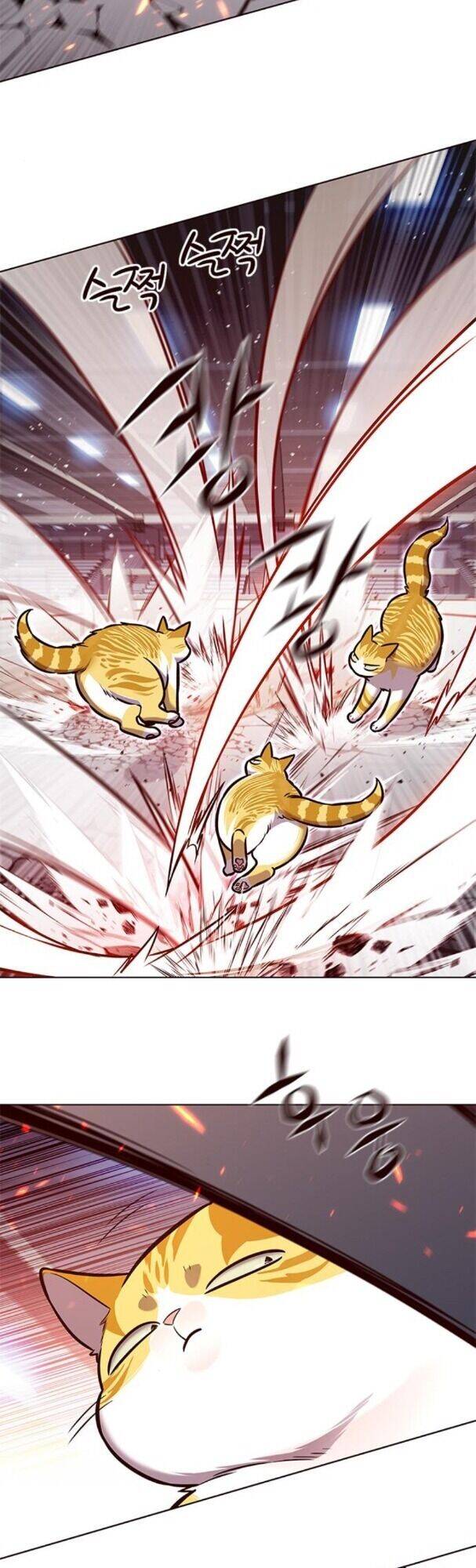 Hoá Thân Thành Mèo Chapter 163 - Trang 2