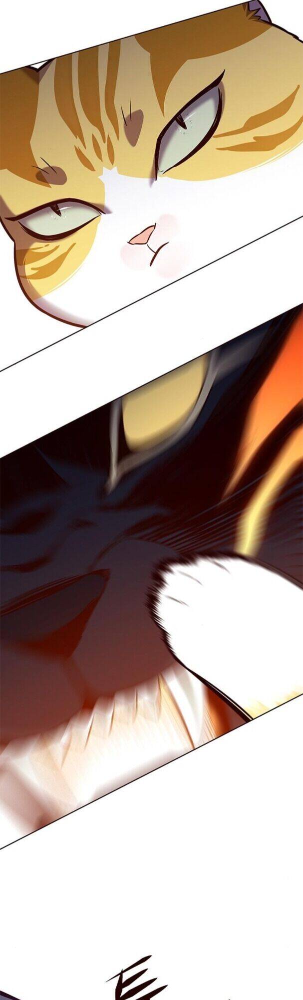 Hoá Thân Thành Mèo Chapter 163 - Trang 2