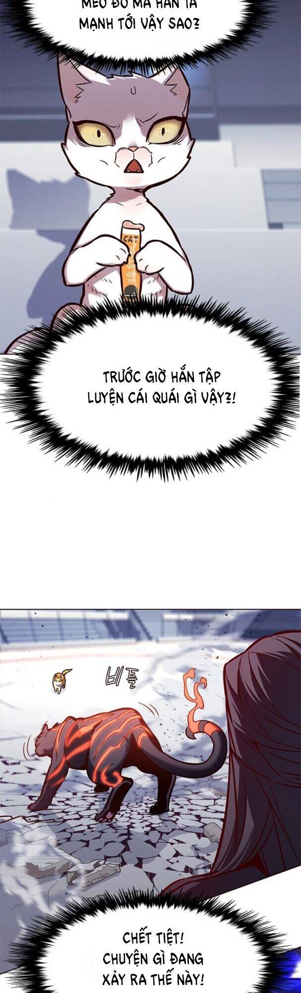 Hoá Thân Thành Mèo Chapter 163 - Trang 2