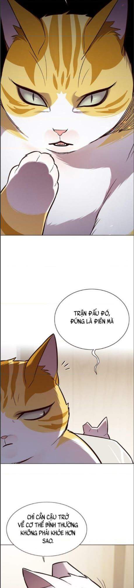 Hoá Thân Thành Mèo Chapter 164 - Trang 2