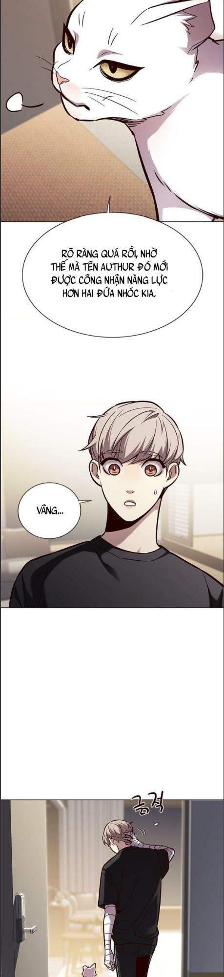 Hoá Thân Thành Mèo Chapter 164 - Trang 2