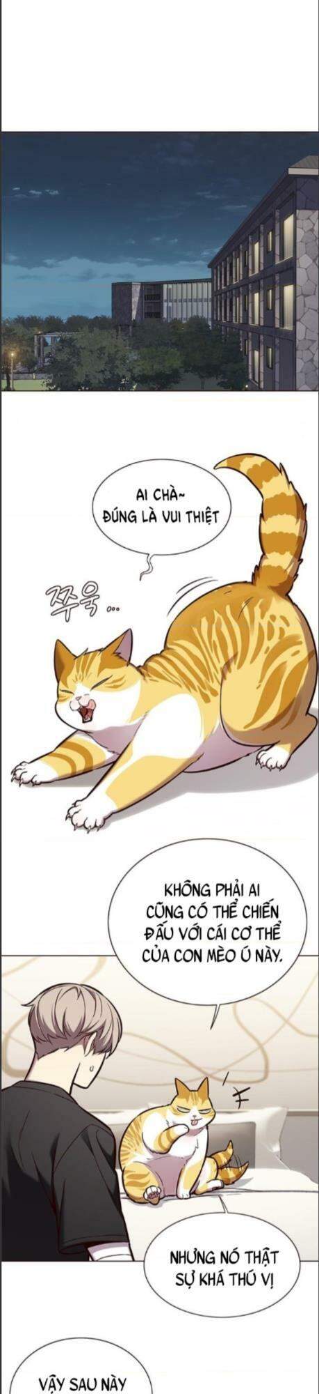 Hoá Thân Thành Mèo Chapter 164 - Trang 2
