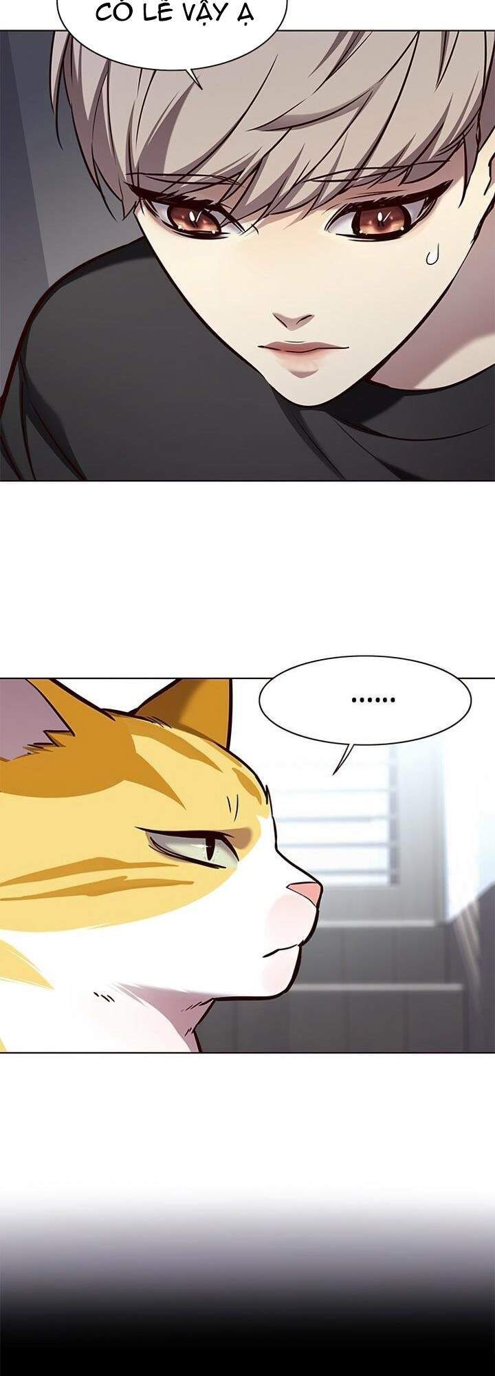 Hoá Thân Thành Mèo Chapter 165 - Trang 2