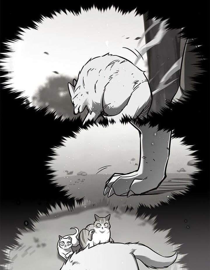 Hoá Thân Thành Mèo Chapter 165 - Trang 2