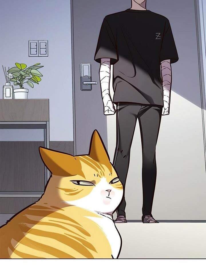 Hoá Thân Thành Mèo Chapter 165 - Trang 2