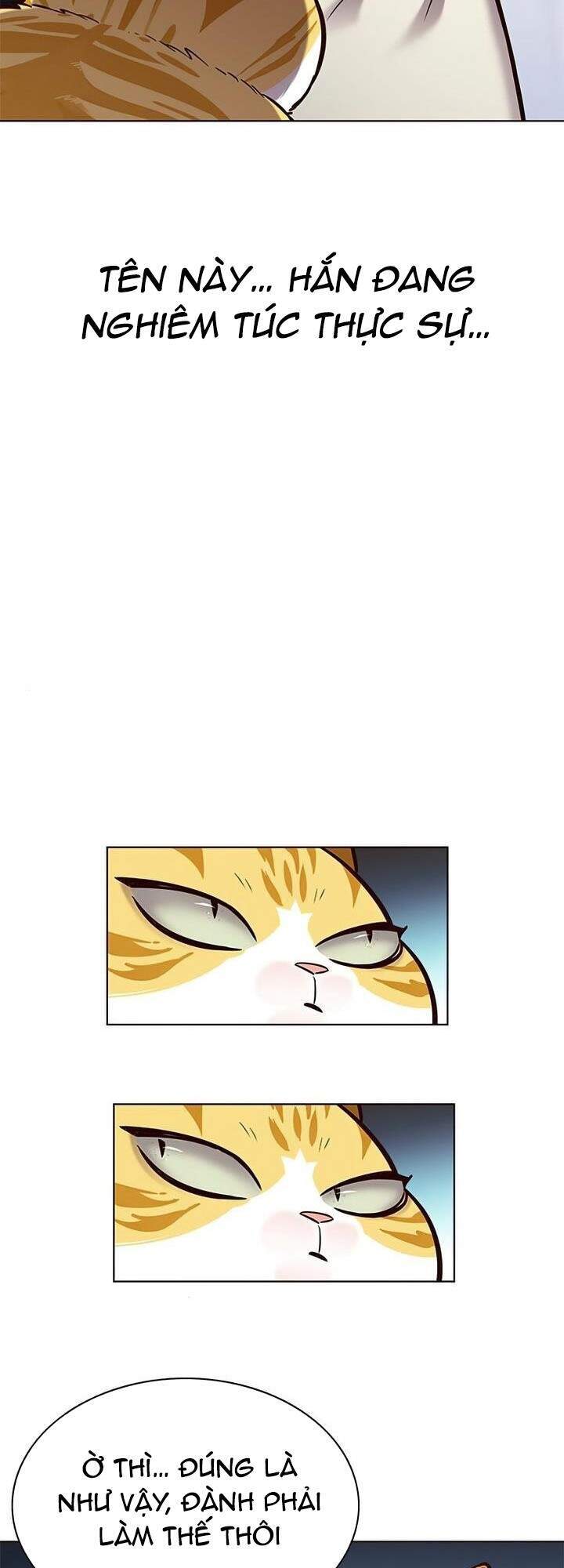 Hoá Thân Thành Mèo Chapter 165 - Trang 2