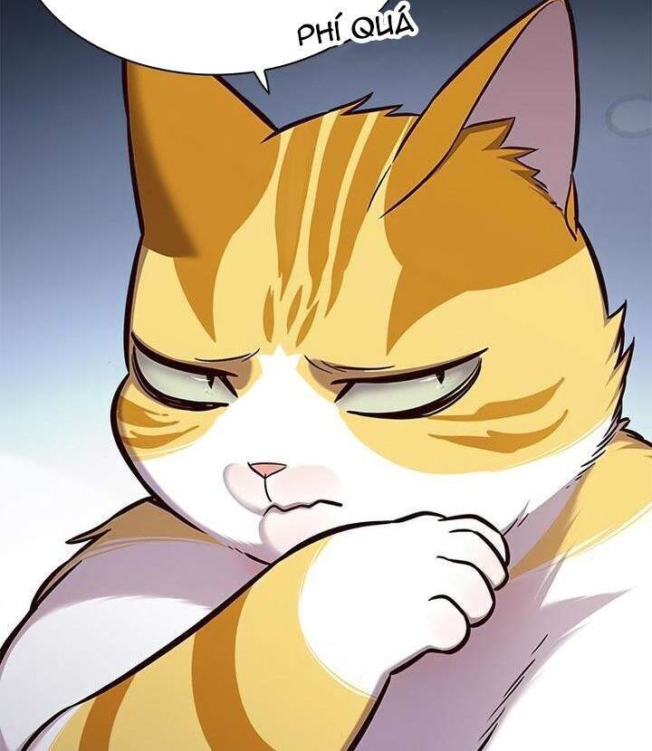 Hoá Thân Thành Mèo Chapter 165 - Trang 2